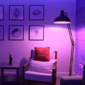 Smart Lâmpada LED Inteligente - Point Smart