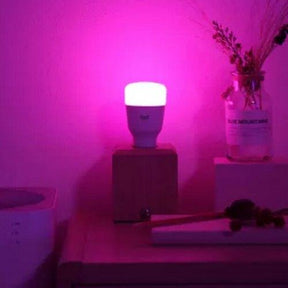 Smart Lâmpada LED Inteligente - Point Smart