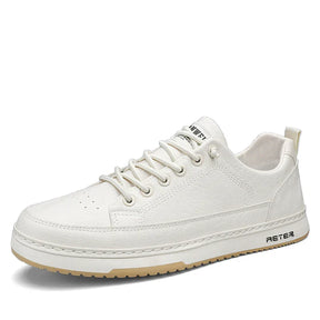 43246546321588|43246546354356|43246546419892|43246546452660|43246546518196|43246546550964