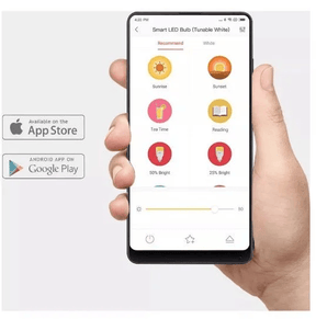 Smart Lâmpada LED Inteligente - Point Smart