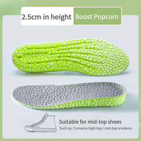 43687516897460|43687516930228|43687516995764|43687517094068|43687517126836