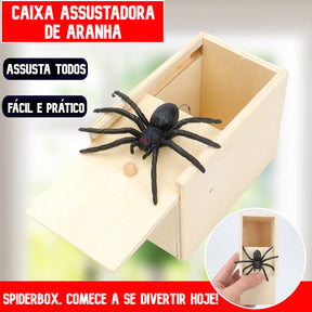Caixa com Aranha Assustadora